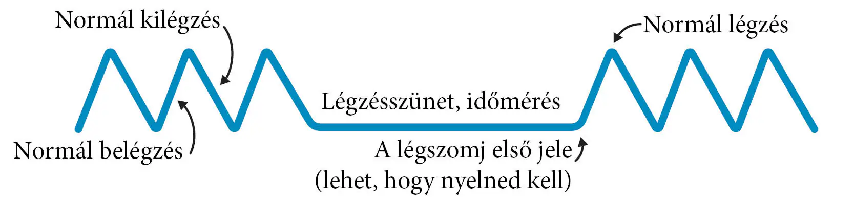 KSZ mérés